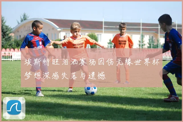 埃斯特旺泪洒赛场因伤无缘世界杯梦想深感失落与遗憾